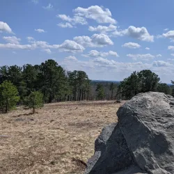 Ward Reservation - North Andover