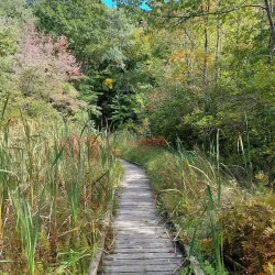 Ward Reservation - North Andover