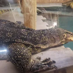 Capron Park Zoo - North Attleborough