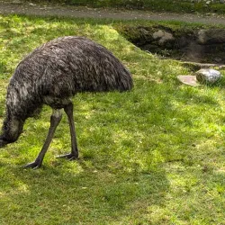 Capron Park Zoo - North Attleborough