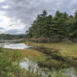 Myles Standish State Forest - North Attleborough