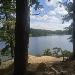 Myles Standish State Forest - North Attleborough
