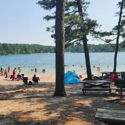 Myles Standish State Forest - North Attleborough