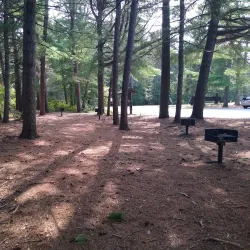 Myles Standish State Forest - North Attleborough