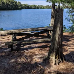 Myles Standish State Forest - North Attleborough