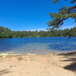 Myles Standish State Forest - North Attleborough