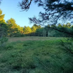 Myles Standish State Forest - North Attleborough