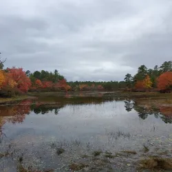 Myles Standish State Forest - North Attleborough