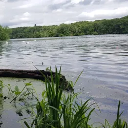 Ten Mile River Greenway - North Attleborough