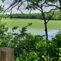 Ten Mile River Greenway - North Attleborough