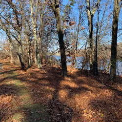 Ten Mile River Greenway - North Attleborough
