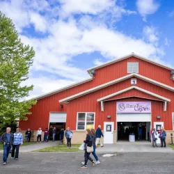 Paradise City Arts Festival - Northampton