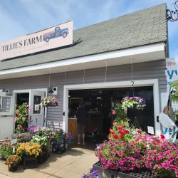 Peabody Farmers Market - Peabody