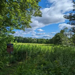 Arrowhead - Pittsfield