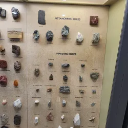 Berkshire Museum - Pittsfield