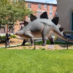 Berkshire Museum - Pittsfield