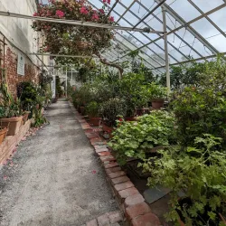 Lyman Estate Gardens - Pittsfield