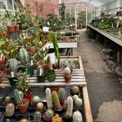 Lyman Estate Gardens - Pittsfield