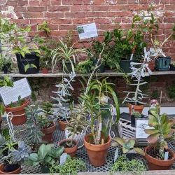 Lyman Estate Gardens - Pittsfield