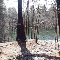 Pittsfield State Forest - Pittsfield