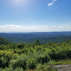 Pittsfield State Forest - Pittsfield