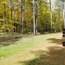 Pittsfield State Forest - Pittsfield