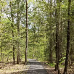 Pittsfield State Forest - Pittsfield