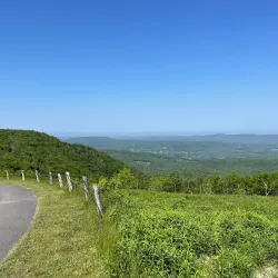 Pittsfield State Forest - Pittsfield