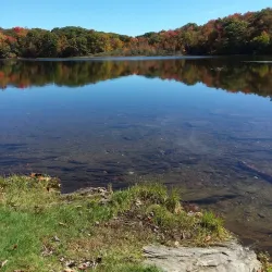 Pittsfield State Forest - Pittsfield