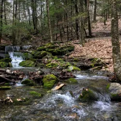 Pittsfield State Forest - Pittsfield