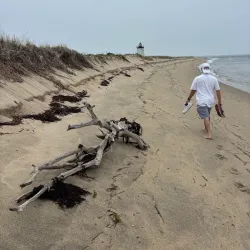 Long Point Lighthouse - Provincetown