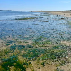 Long Point Lighthouse - Provincetown
