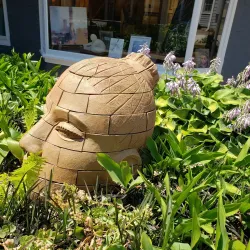 Provincetown Art Association and Museum (PAAM) - Provincetown