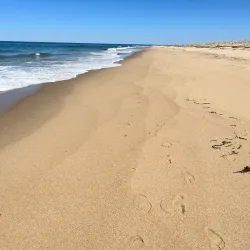Race Point Beach - Provincetown