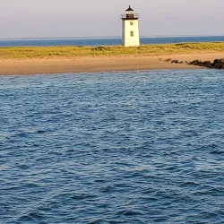 Whale Watching Tours - Provincetown