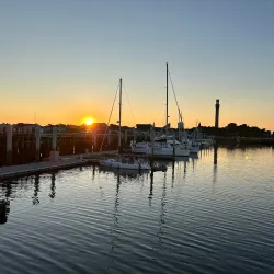 Whale Watching Tours - Provincetown