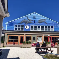 Whale Watching Tours - Provincetown