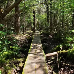 Blue Hills Reservation - Quincy