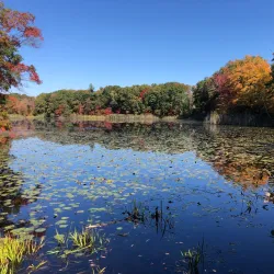 Blue Hills Reservation - Quincy