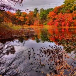 Blue Hills Reservation - Quincy