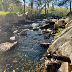 Borderland State Park - Sharon