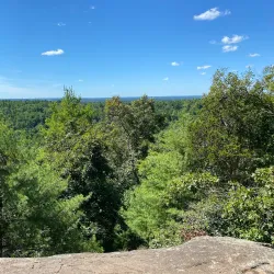 Fox Hill Park - Sharon