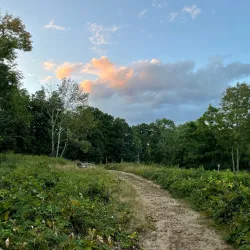 Fox Hill Park - Sharon