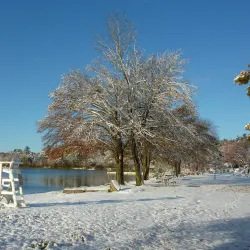 Lake Massapoag - Sharon