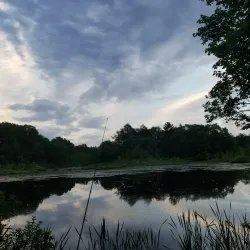 Lake Massapoag - Sharon