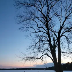 Lake Massapoag - Sharon