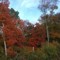 Sharon Arts Center - Sharon