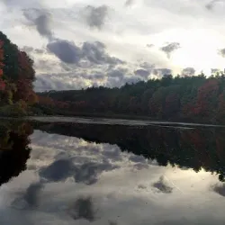 Sharon Arts Center - Sharon