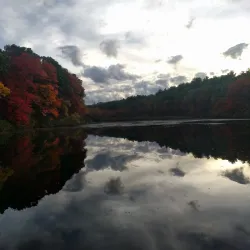 Sharon Arts Center - Sharon