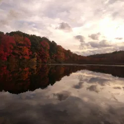 Sharon Arts Center - Sharon